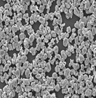 carbonyl iron powder